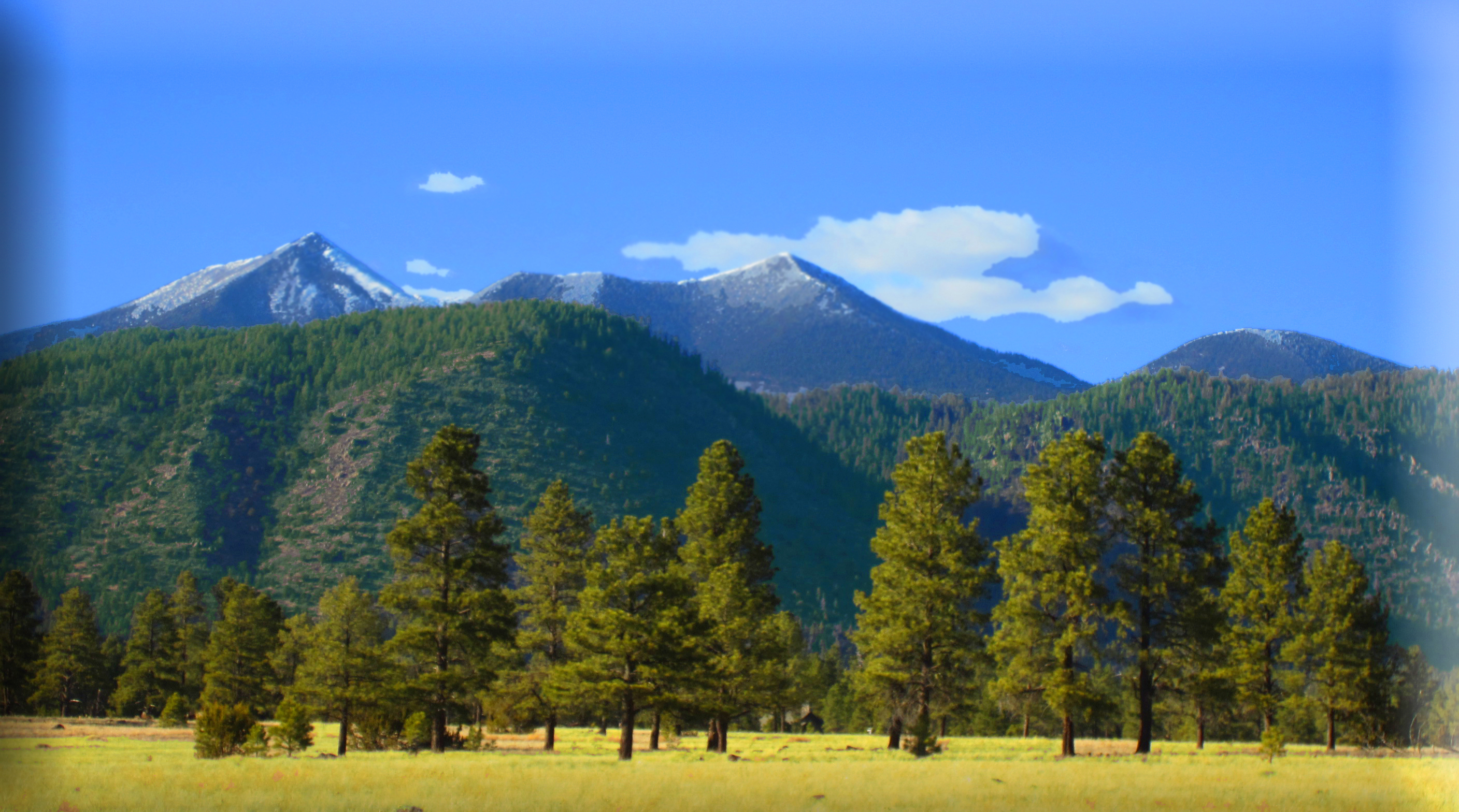 Ten Minutes to Midnight The Cromer Reader