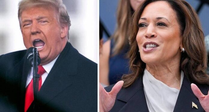 Trump & Harris