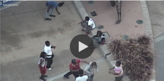 A Lynching Lacking a Rope: The Media, Black Savagery and White Victims